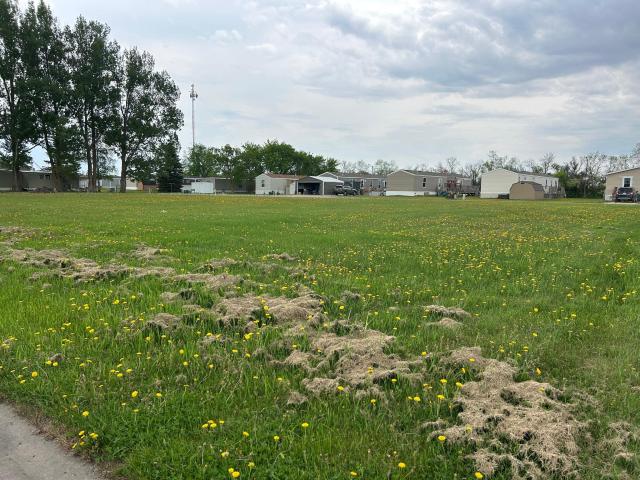 Land for sale in Pennington, Minnesota