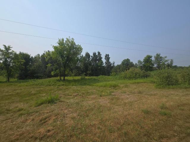 Land for sale in Detroit Lakes, Becker County
