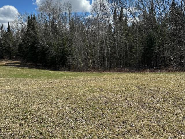 Land for sale in Beltrami, Minnesota