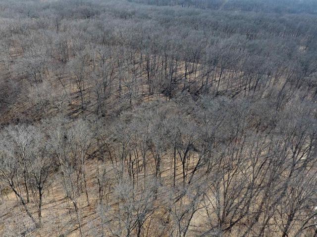 Land for sale in Danville, Iowa