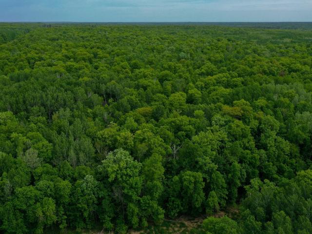 Land for sale in Hubbard, Minnesota