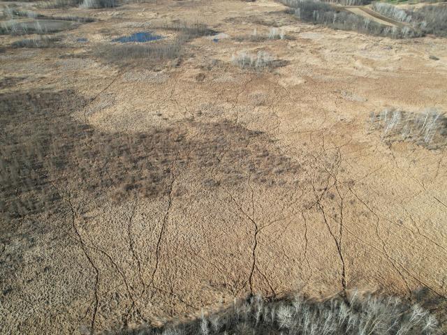 Land for sale in Todd, Minnesota