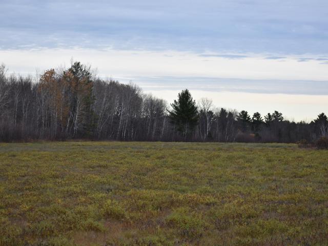 Land for sale in Pine River, Cass County