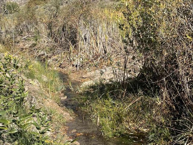 Property for sale in Hotchkiss, Colorado