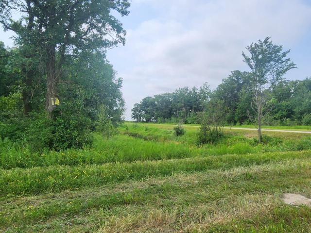 Land for sale in Goodridge, Minnesota