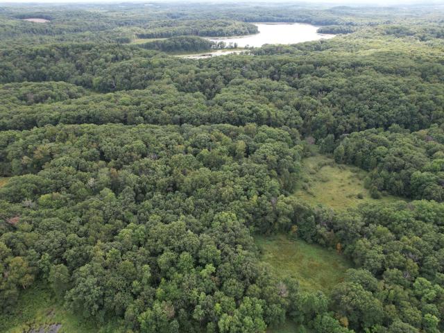 Land for sale in Todd, Minnesota