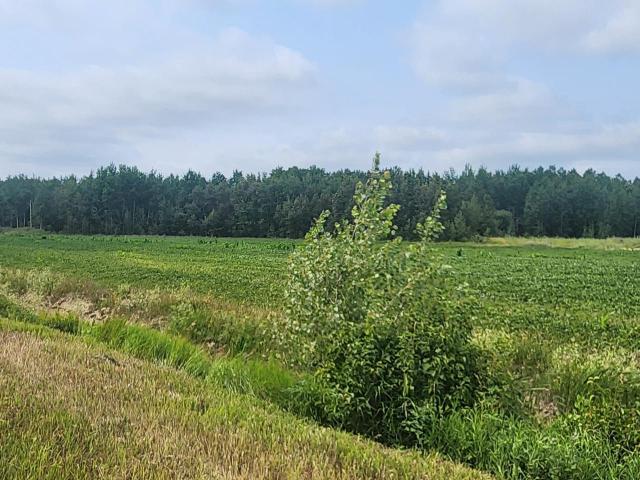Land for sale in Goodridge, Minnesota