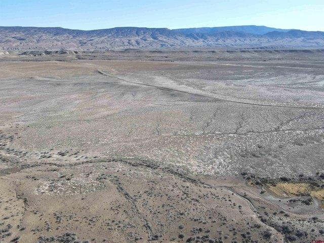 Land for sale in Montrose, Colorado