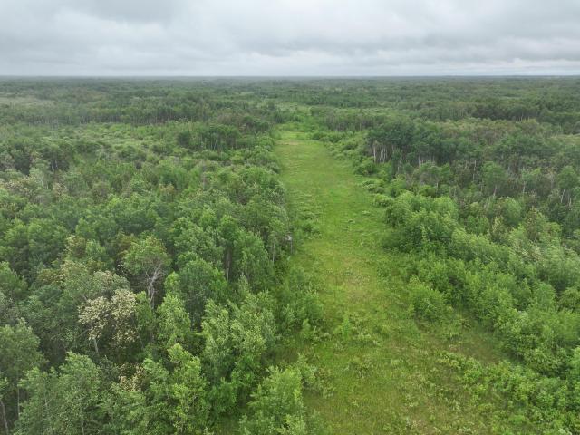 Land for sale in Lancaster, Minnesota