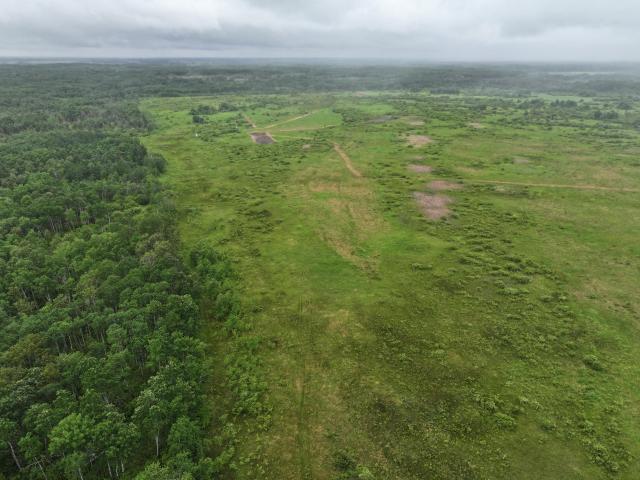 Land for sale in Lancaster, Minnesota
