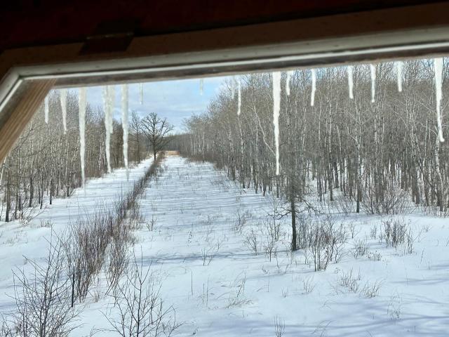 Land for sale in Minnesota