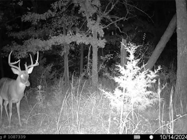 Land for sale in Wilburton, Oklahoma