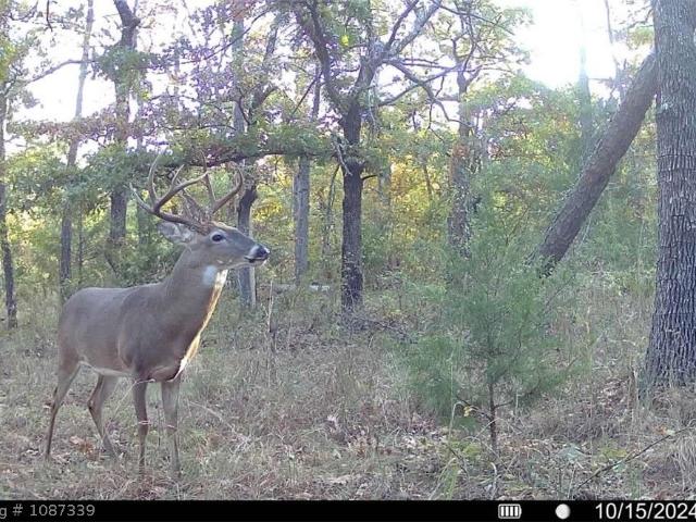 Property for sale in Wilburton, Oklahoma