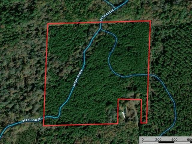 Farm for sale in Carthage, Dallas County