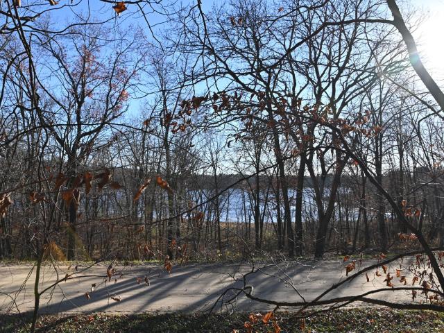 Land for sale in Todd, Minnesota
