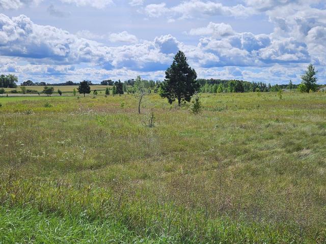 Land for sale in Perham, Otter Tail County