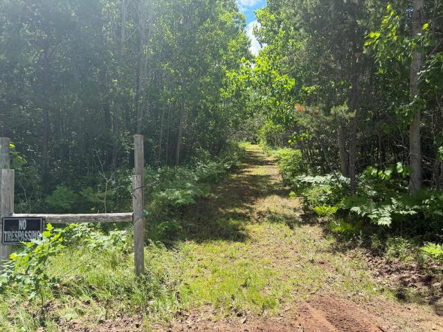 Land for sale in Wisconsin