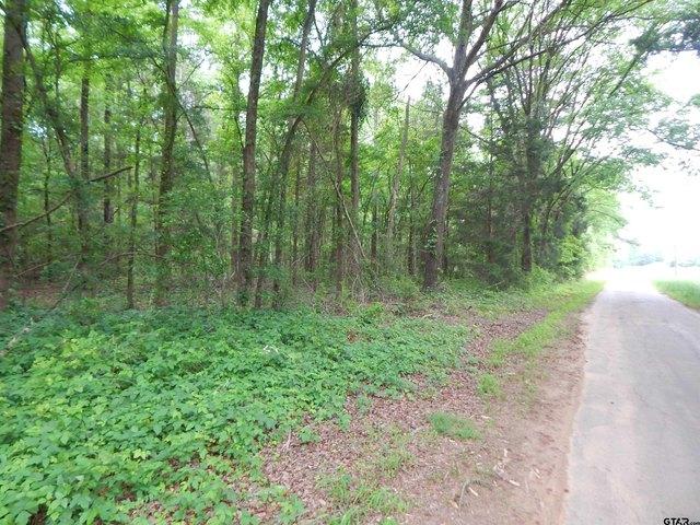 Land for sale in Camp, Texas