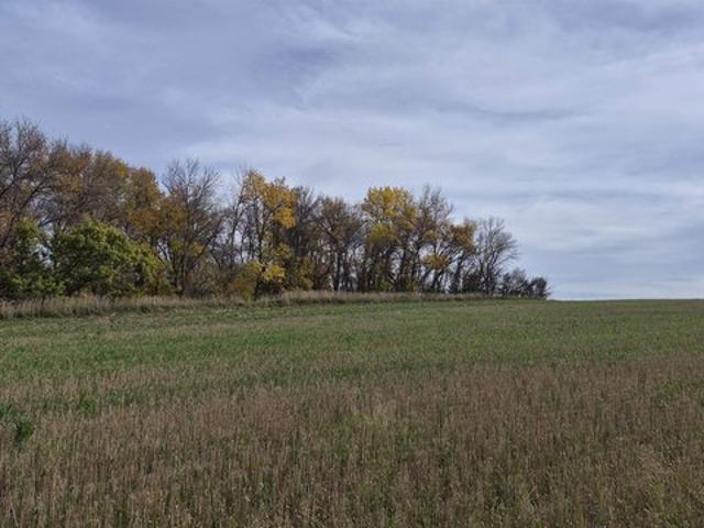 Land for sale in North Dakota