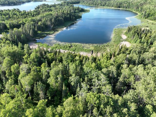 Land for sale in Walker, Minnesota