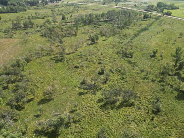 Land for sale in Carlos, Douglas County