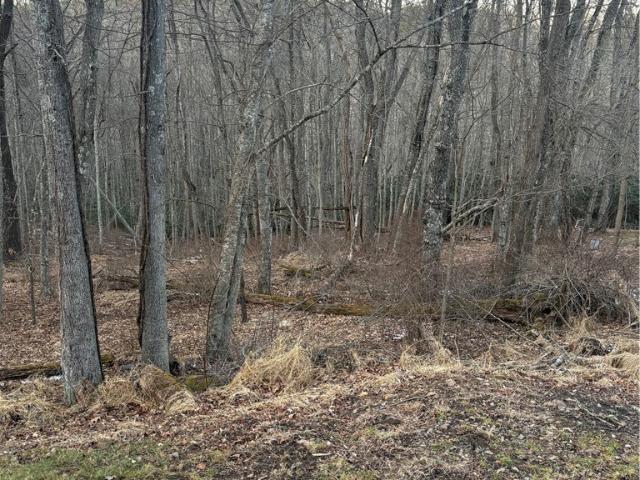 Land for sale in Alleghany, North Carolina
