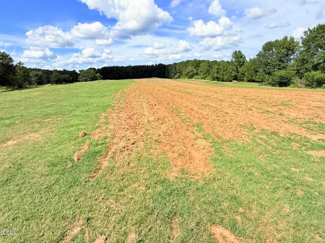 Land for sale in Lincoln County, Mississippi