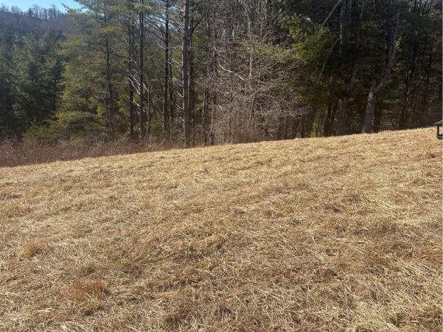 Land for sale in Alleghany, North Carolina