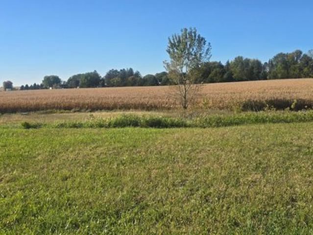 Land for sale in Harmony, Minnesota