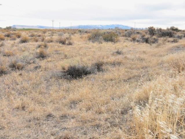 Land for sale in Rupert, Idaho