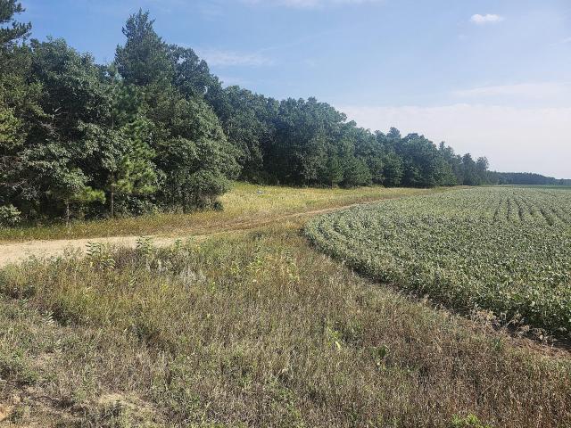 Land for sale in Todd, Minnesota