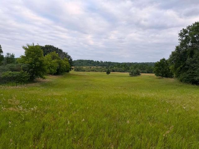 Land for sale in Minnesota