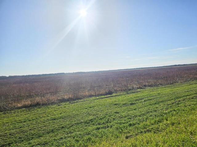 Land for sale in Newfolden, Minnesota
