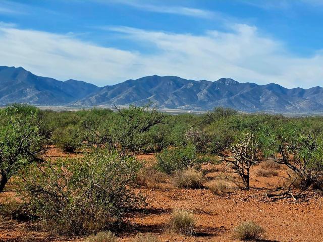Land for sale in Huachuca City, Cochise County