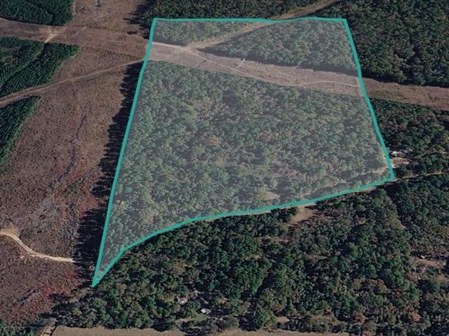 Land for sale in Camp, Texas