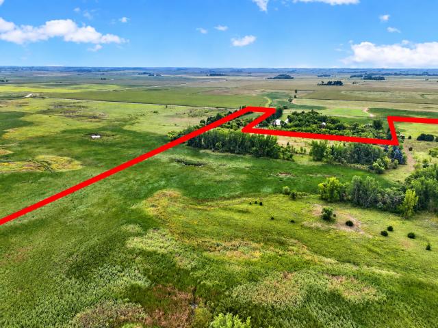 Land for sale in Benson, Swift County
