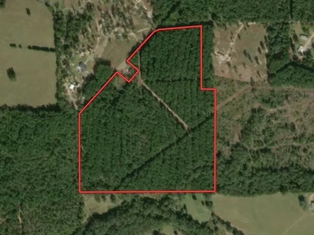 Land for sale in Smith, Texas