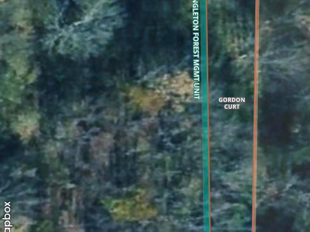 Land for sale in Seney, Michigan