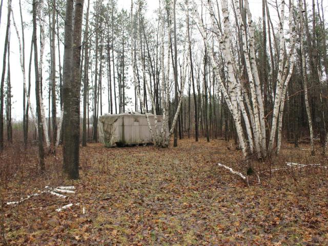 Land for sale in Todd, Minnesota