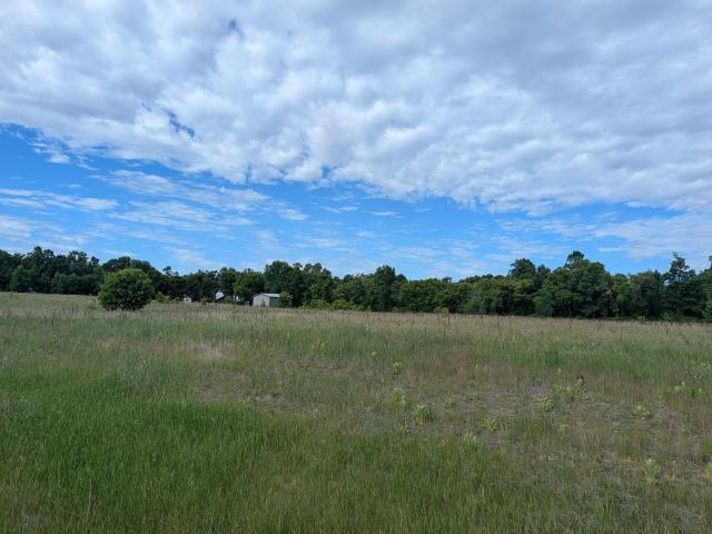 Land for sale in New York Mills, Minnesota