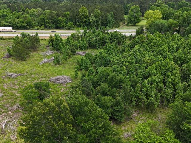 Land for sale in Polk, Texas