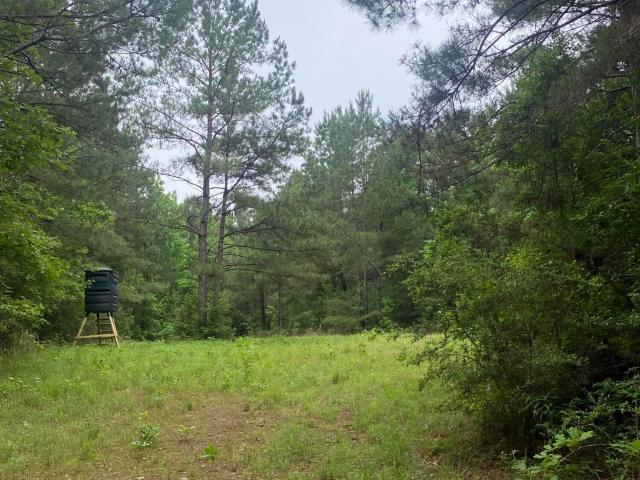Land for sale in Crosby, Mississippi