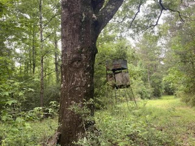 Land for sale in Crosby, Mississippi
