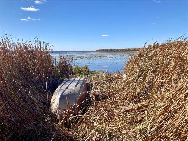 Land for sale in New York Mills, Minnesota
