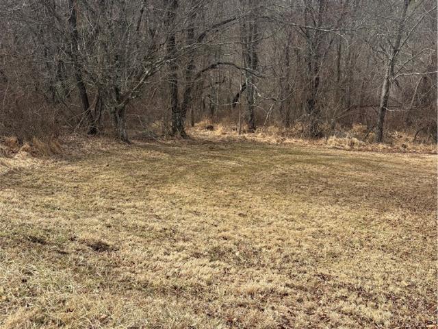Land for sale in Alleghany, North Carolina