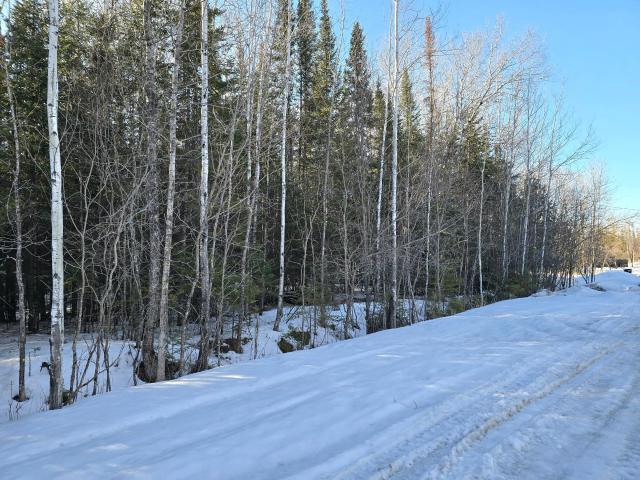 Land for sale in International Falls, Minnesota