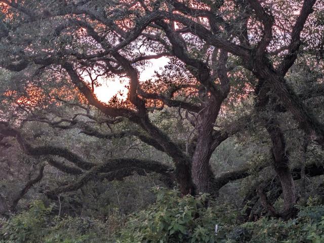 Land for sale in Rock Island, Texas