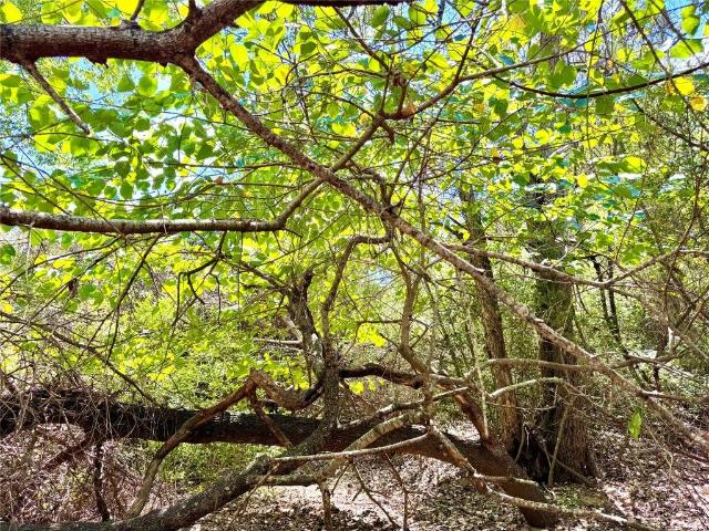 Ranch for sale in Texas