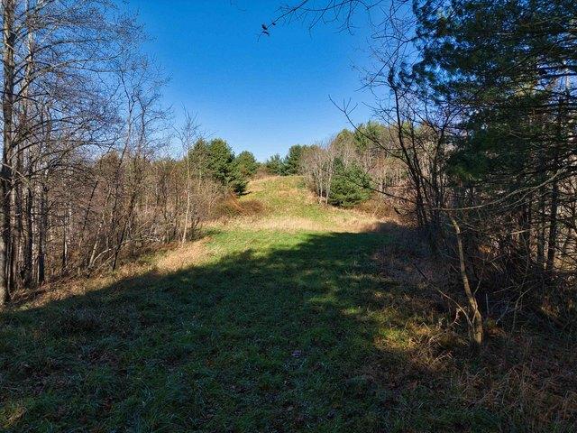 Land for sale in Virginia