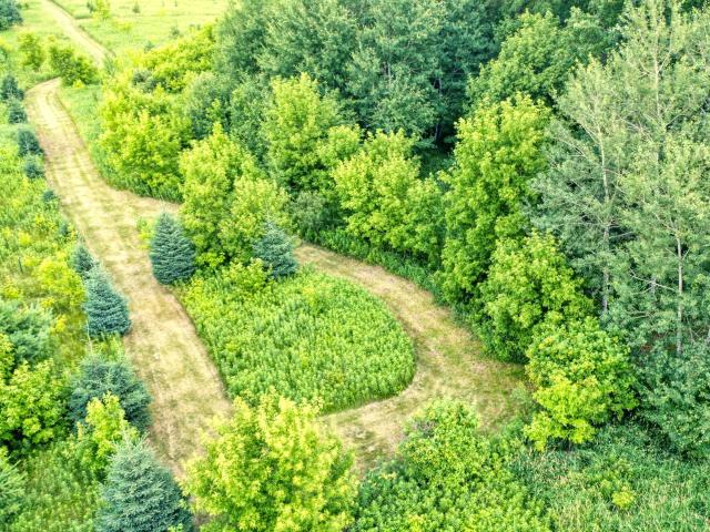 Land for sale in Rock Creek, Minnesota